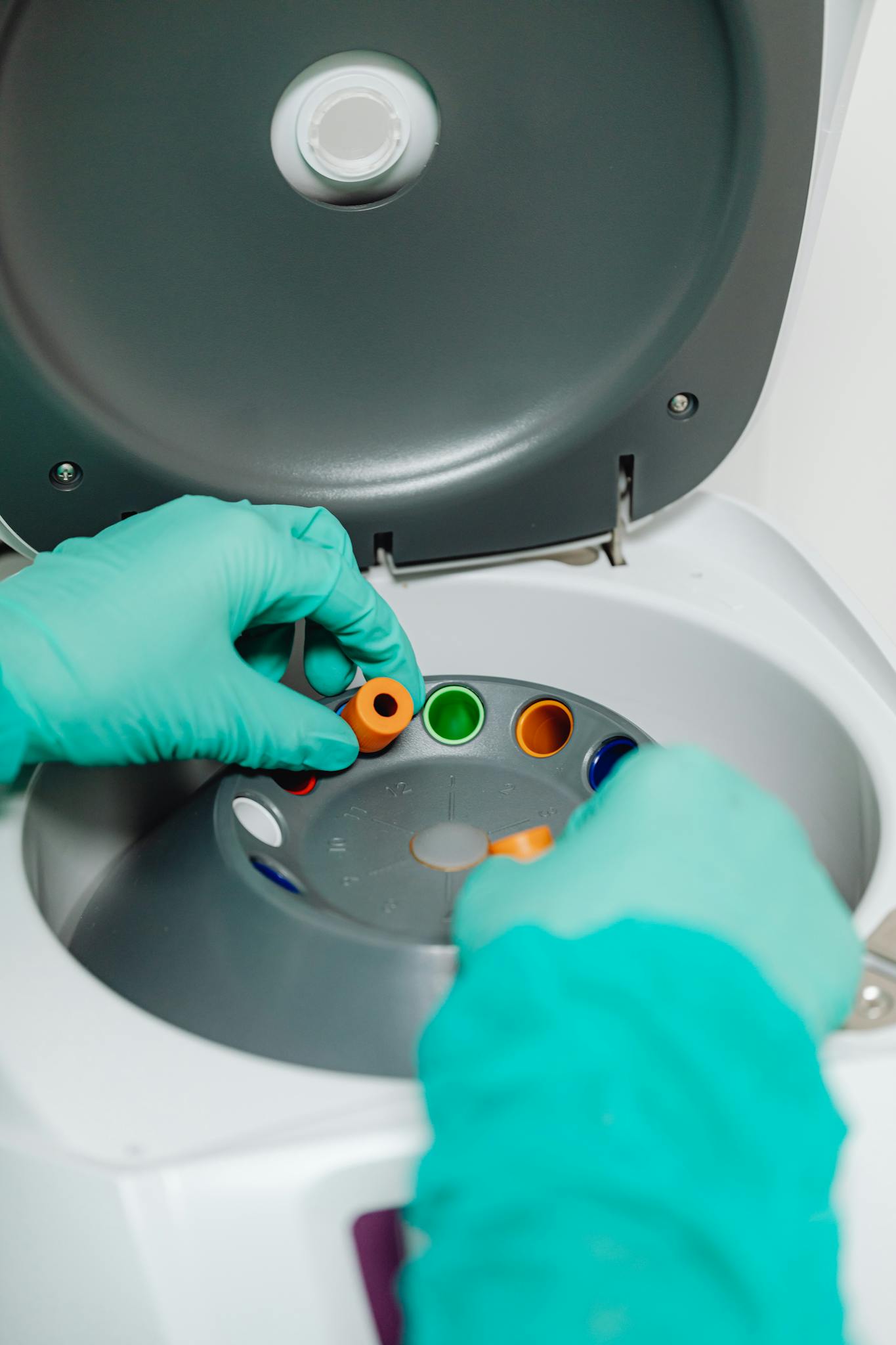 Hands in gloves adjusting samples in a laboratory centrifuge.
